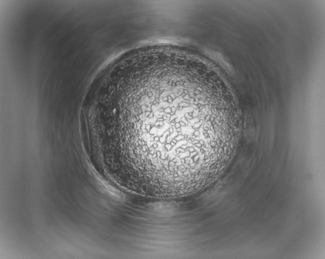 X0000076061404200609291213