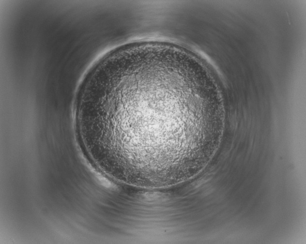 X0000076061416200609291213