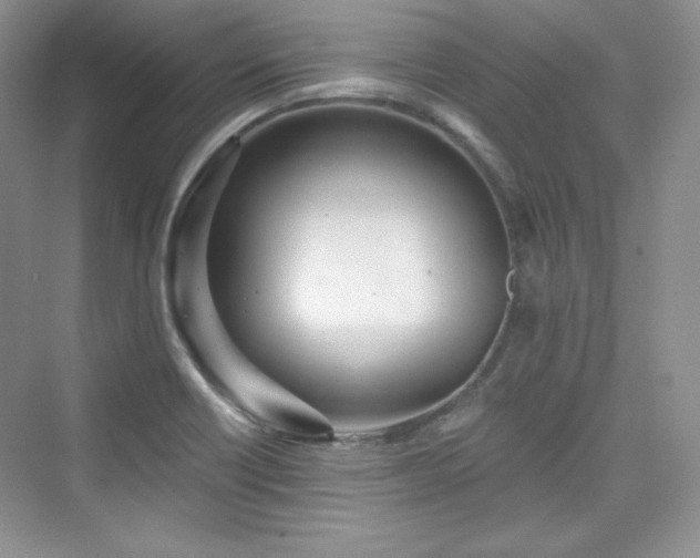 X0000076061418200609291213