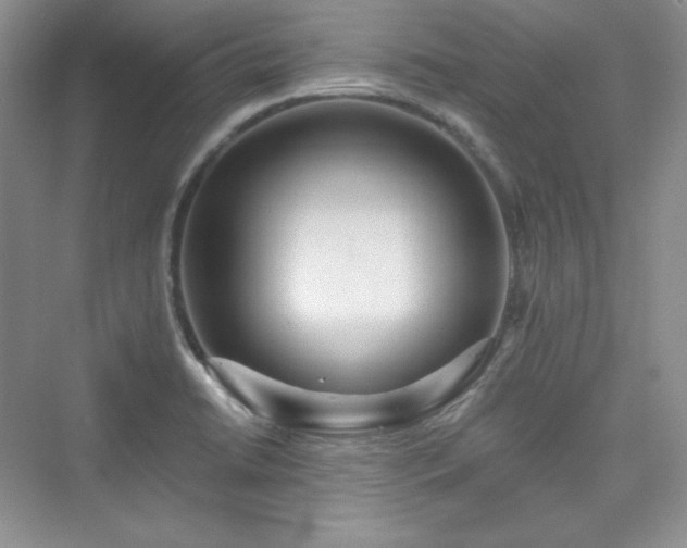 X0000076061422200609291213