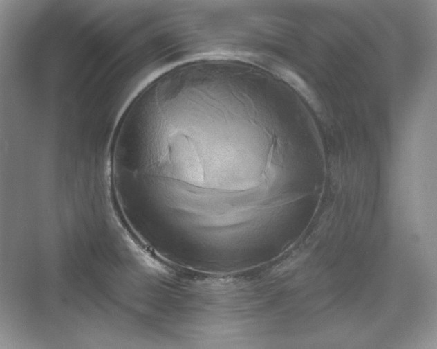 X0000076061428200609291213