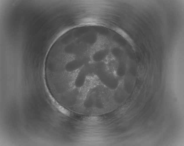 X0000076061431200609291214