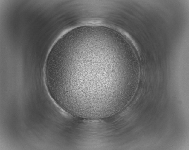 X0000076061432200609291214