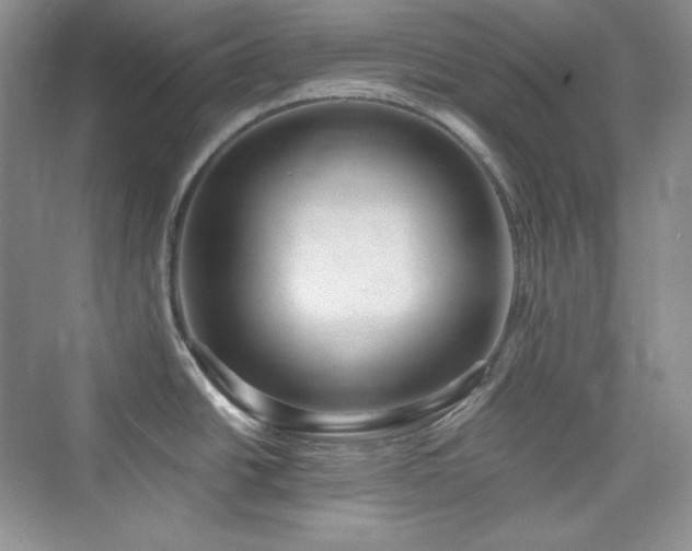 X0000076061438200609291214