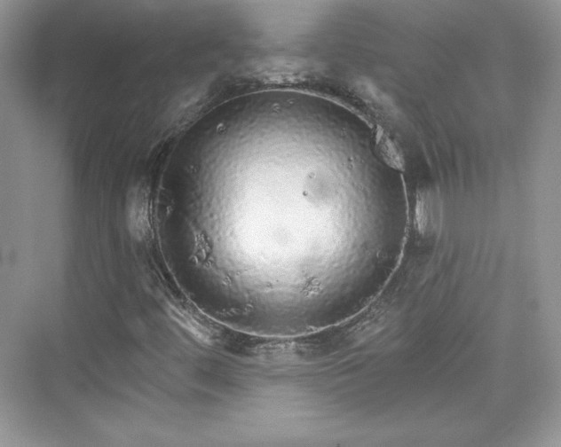 X0000076061444200609291213