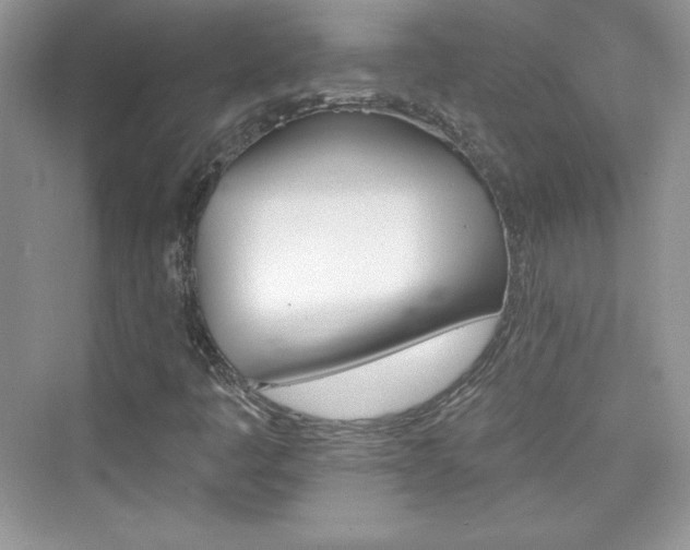 X0000076061445200609291213