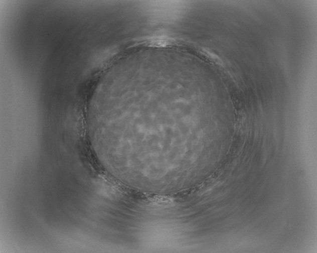 X0000076061446200609291213