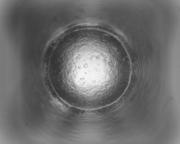 X0000076061448200609291213