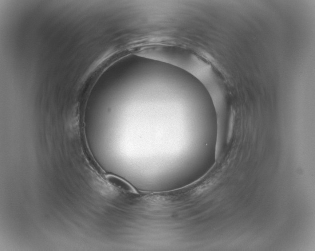 X0000076061450200609291213
