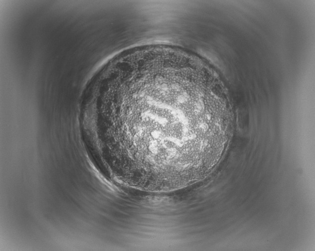 X0000076061452200609291213