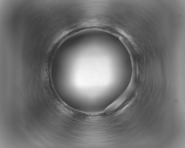 X0000076061453200609291213