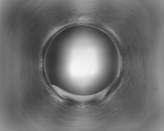 X0000076061461200609291213