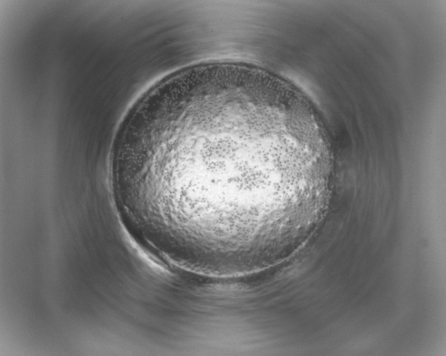 X0000076061468200609291212