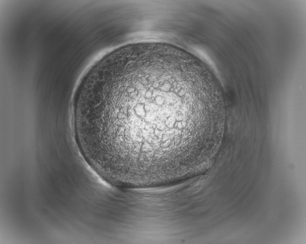 X0000076061472200609291212