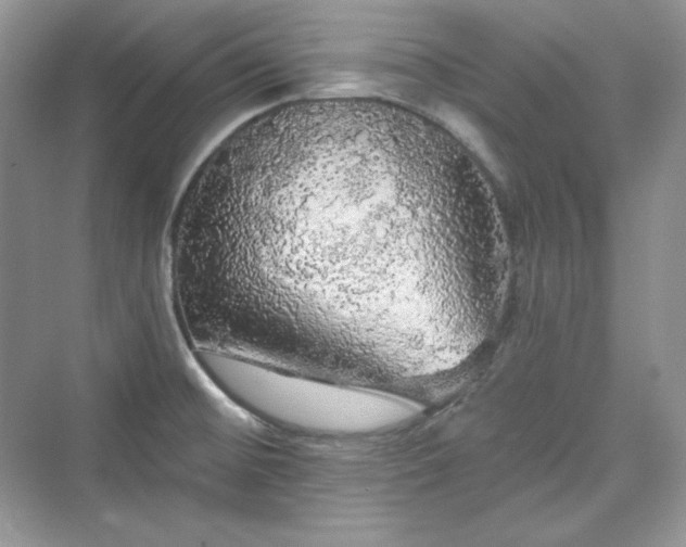 X0000076061476200609291212