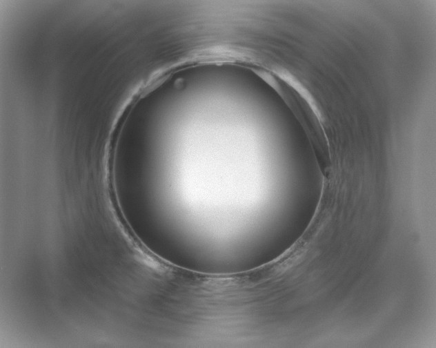 X0000076061477200609291212