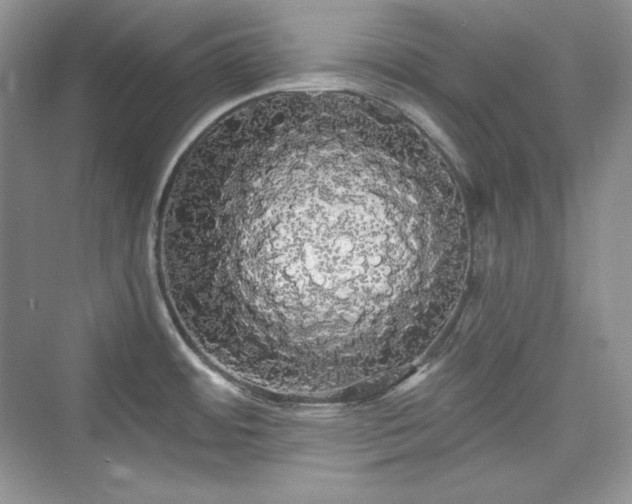 X0000076061484200609291212