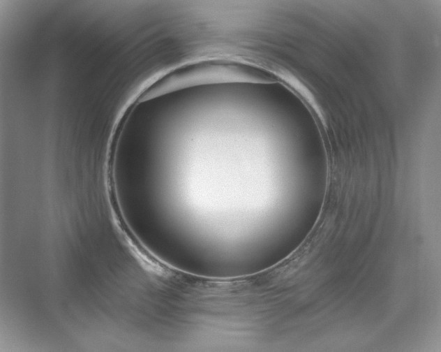 X0000076061485200609291212