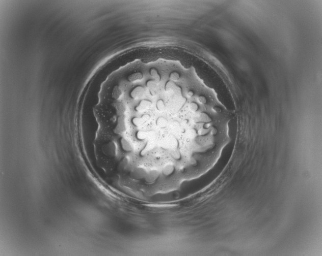 X0000076061487200609291212