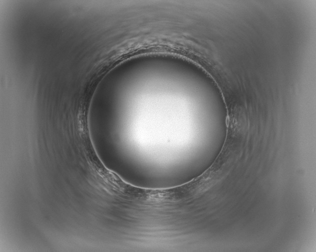 X0000076061490200609291211