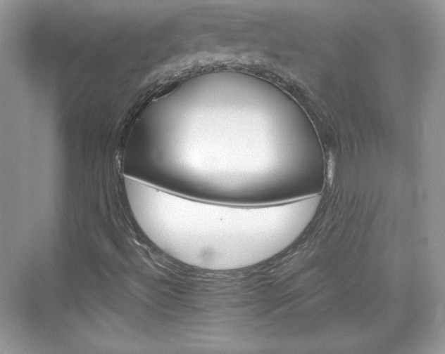 X0000076061492200609291211