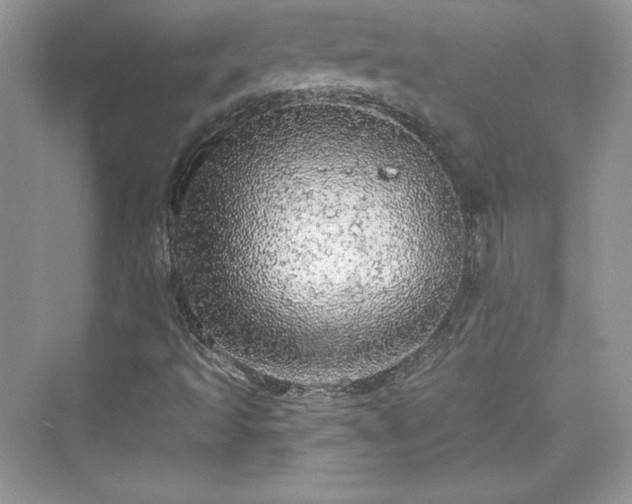 X0000076061493200609291211
