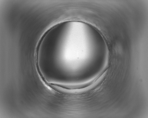 X0000076061519200609291212