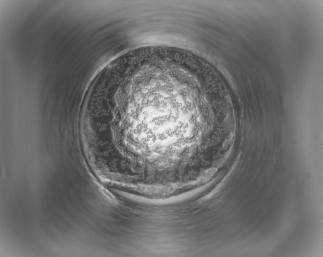 X0000076061529200609291212