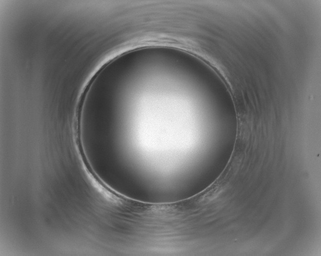 X0000076061531200609291212