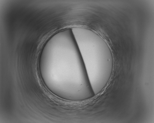 X0000076060001200610061548