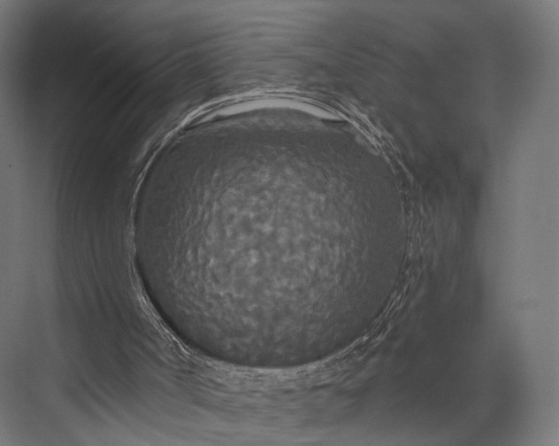 X0000076060002200610061548