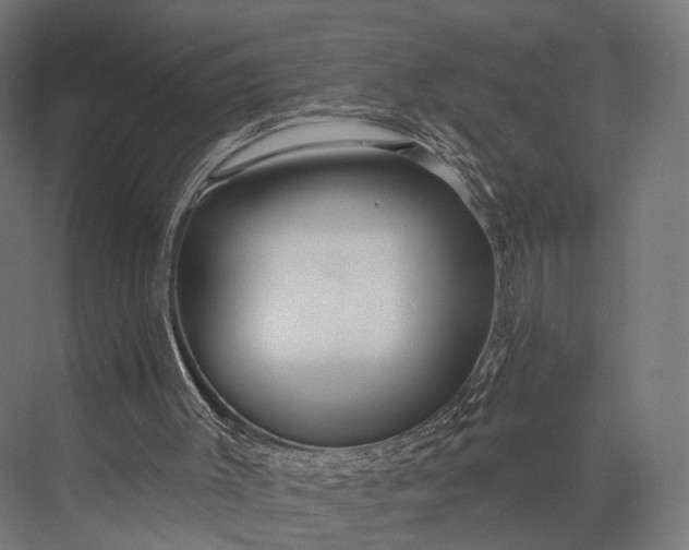 X0000076060003200610061548