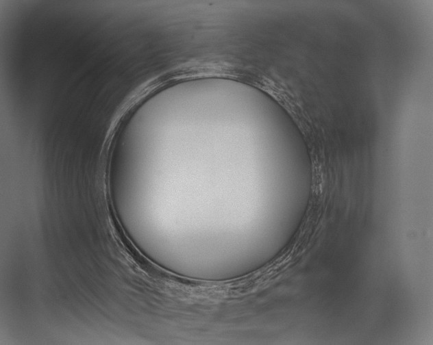 X0000076060004200610061548