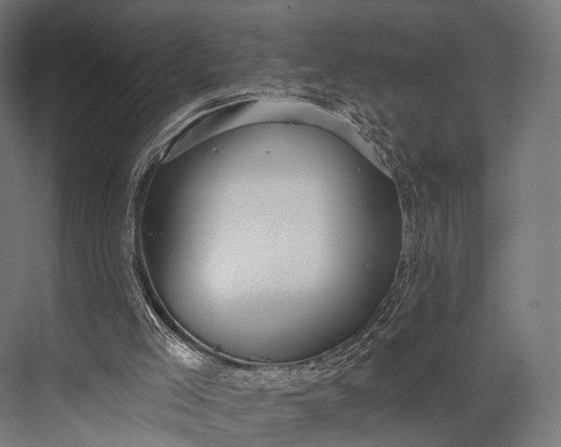 X0000076060005200610061548