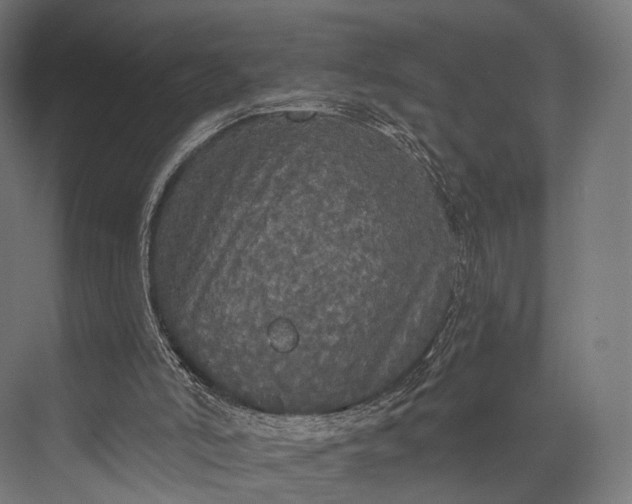 X0000076060006200610061548