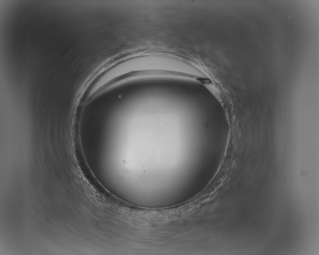 X0000076060007200610061548