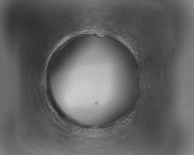 X0000076060008200610061548