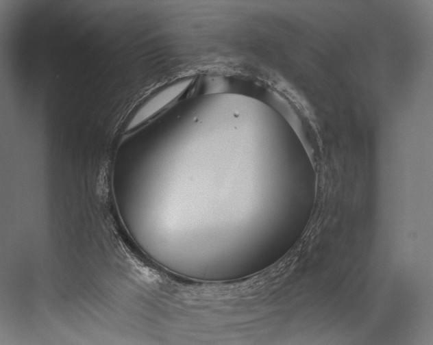 X0000076060009200610061548