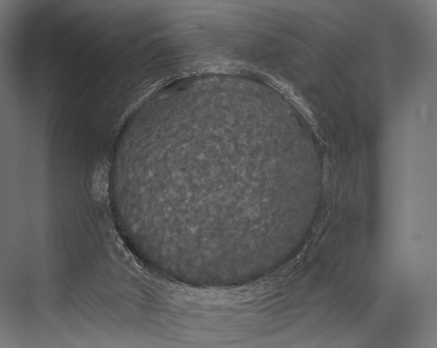 X0000076060010200610061548