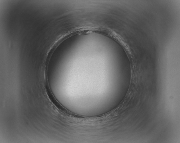 X0000076060011200610061548