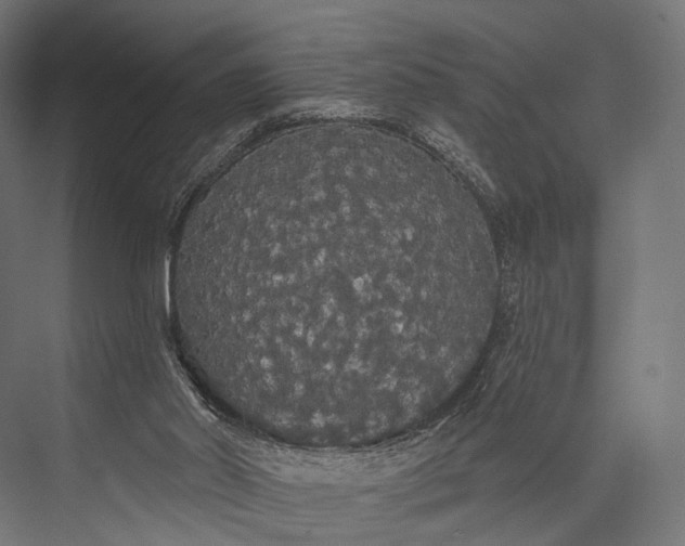 X0000076060014200610061548