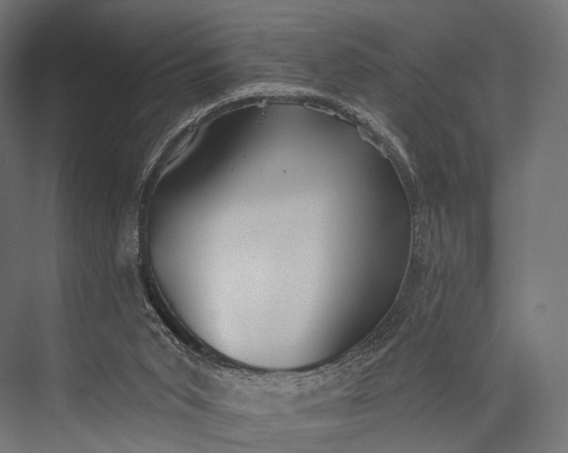 X0000076060015200610061548