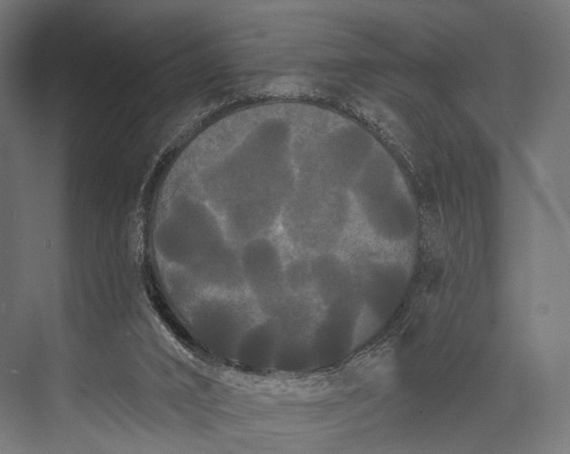 X0000076060016200610061548