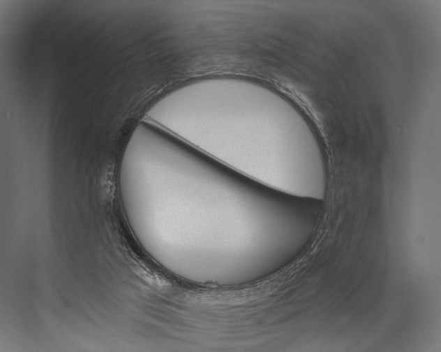 X0000076060017200610061548