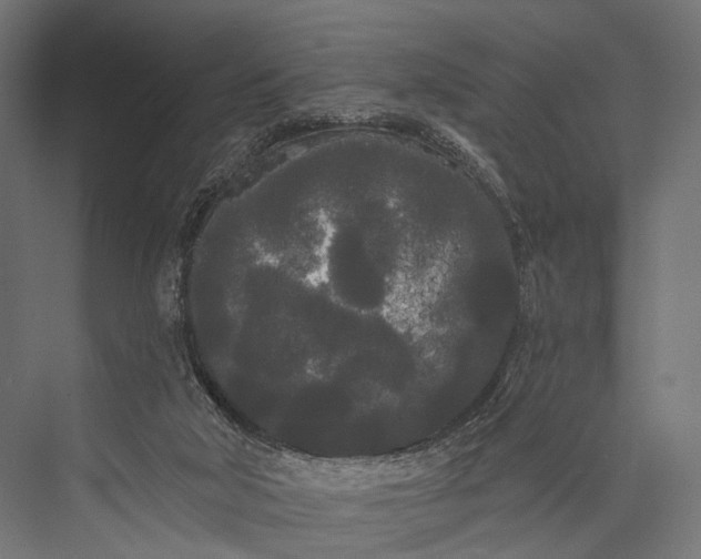 X0000076060018200610061548