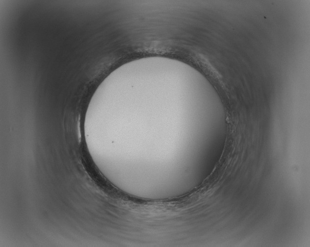 X0000076060020200610061548