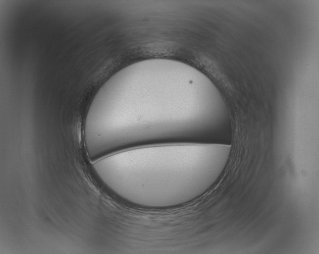 X0000076060021200610061548