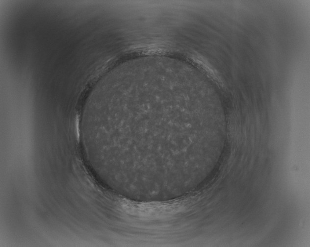 X0000076060022200610061548