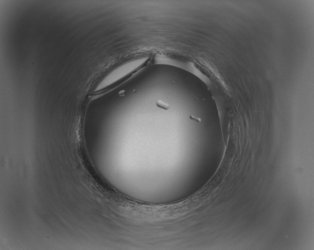 X0000076060023200610061548