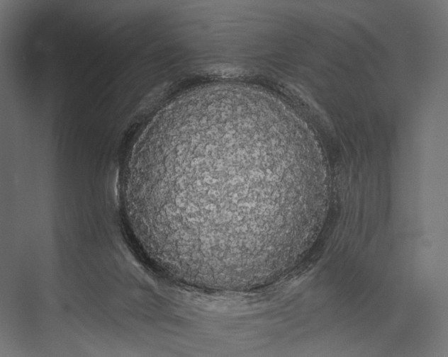 X0000076060024200610061548